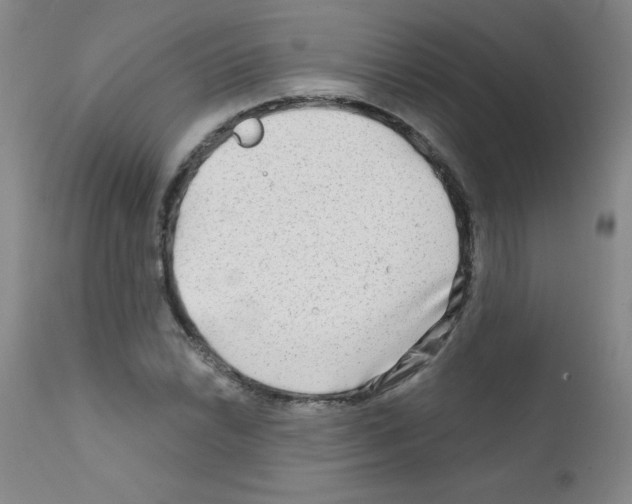 X0000111791022200909031152