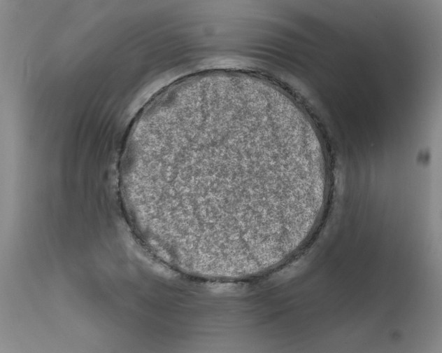 X0000111791025200909031152