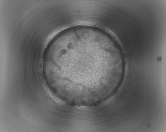 X0000111791027200909031152