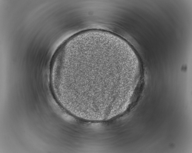 X0000111791028200909031152