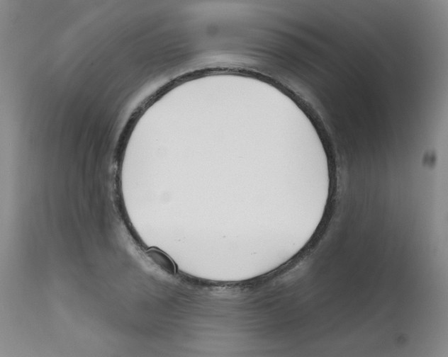 X0000111791029200909031152