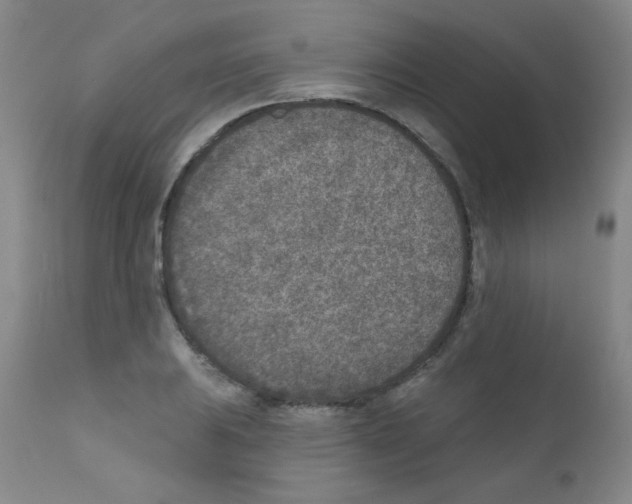 X0000111791031200909031152