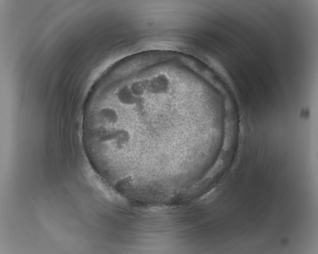 X0000111791035200909031152