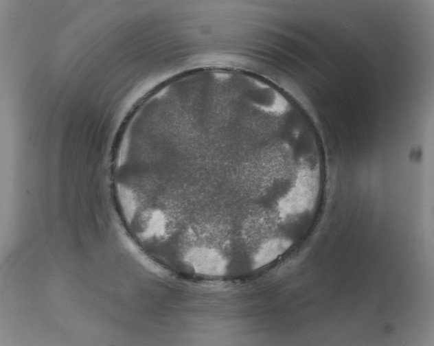 X0000111791037200909031152