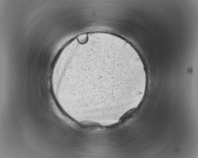 X0000111791038200909031152