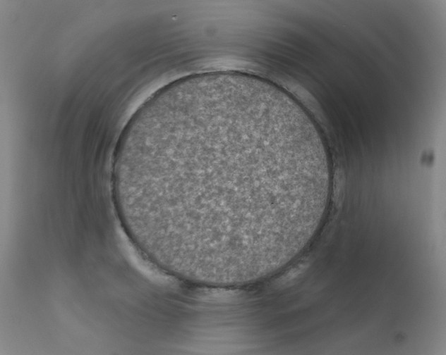 X0000111791039200909031152