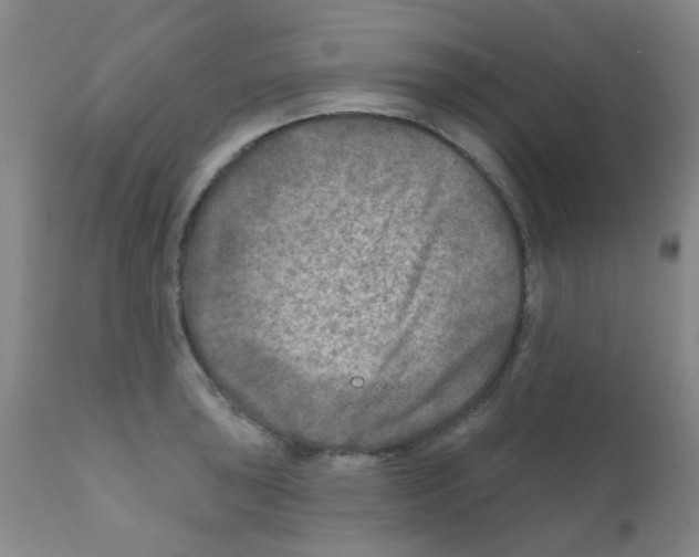 X0000111791043200909031152