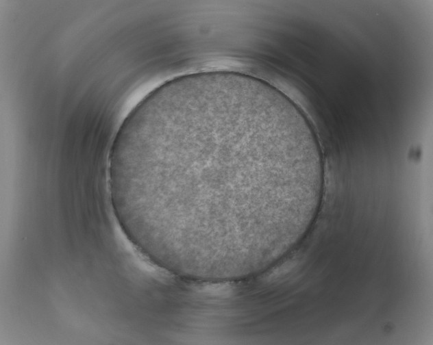 X0000111791047200909031152