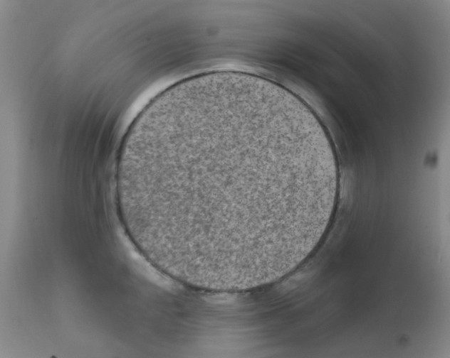 X0000111791048200909031152