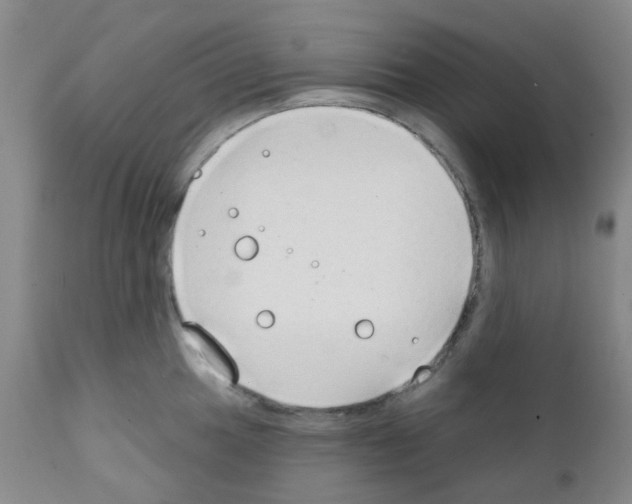 X0000111791049200909031152