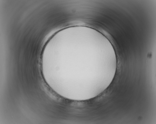 X0000111791051200909031152