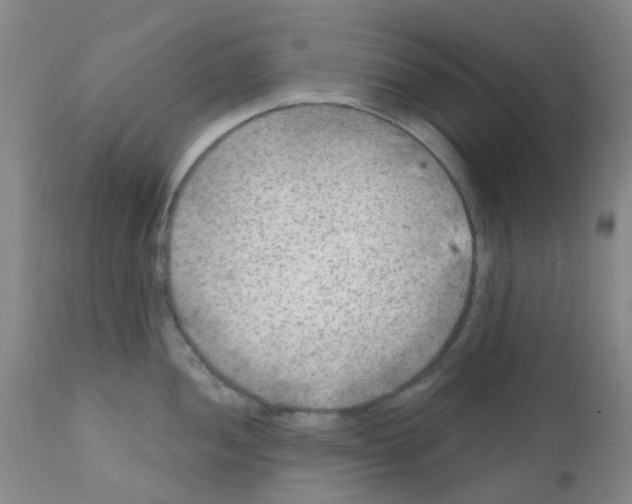 X0000111791052200909031152