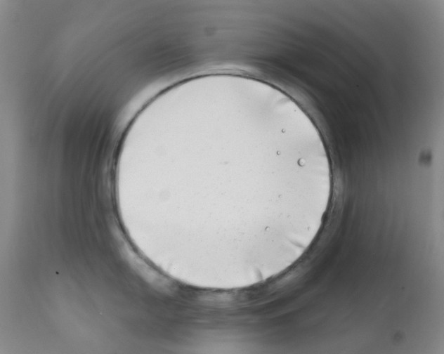 X0000111791054200909031152