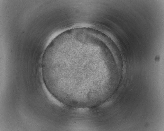 X0000111791055200909031152