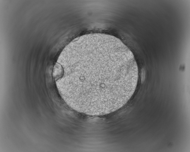 X0000111791059200909031152