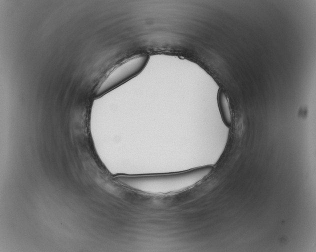 X0000111791060200909031152