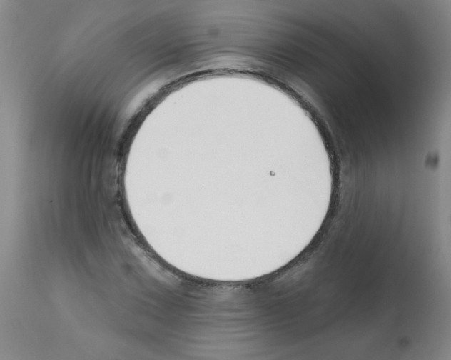 X0000111791067200909031152