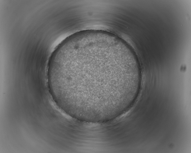 X0000111791071200909031152