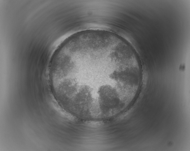 X0000111791074200909031152