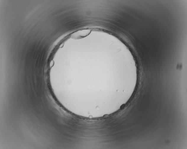 X0000111791076200909031151