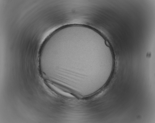 X0000111791077200909031151