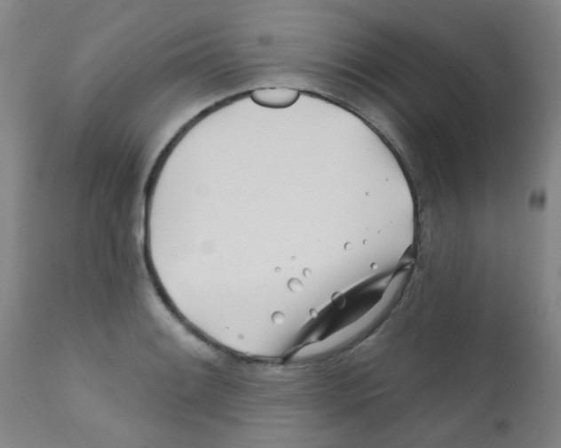 X0000111791084200909031151