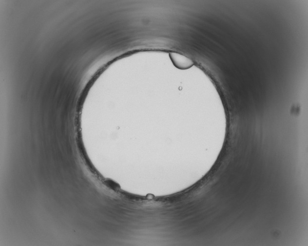 X0000111791085200909031151