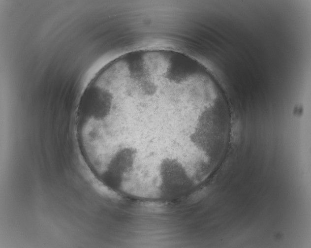 X0000111791086200909031151