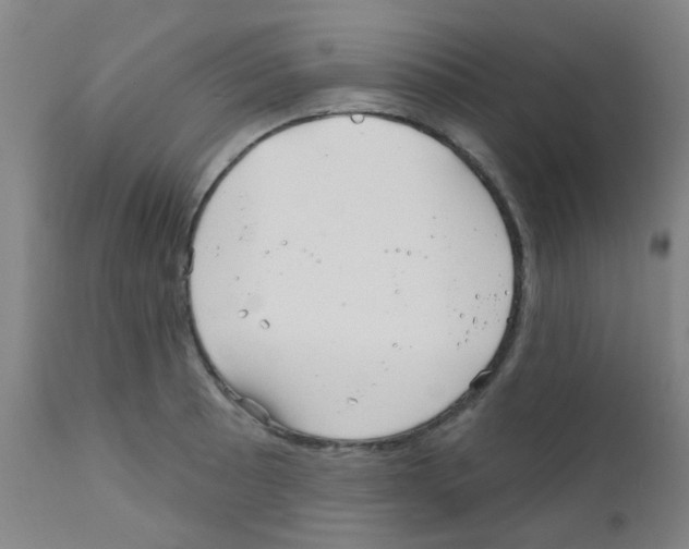 X0000111791089200909031151