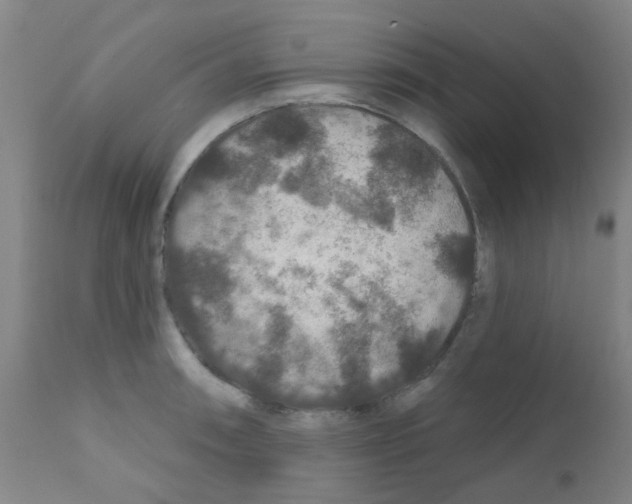 X0000111791090200909031151