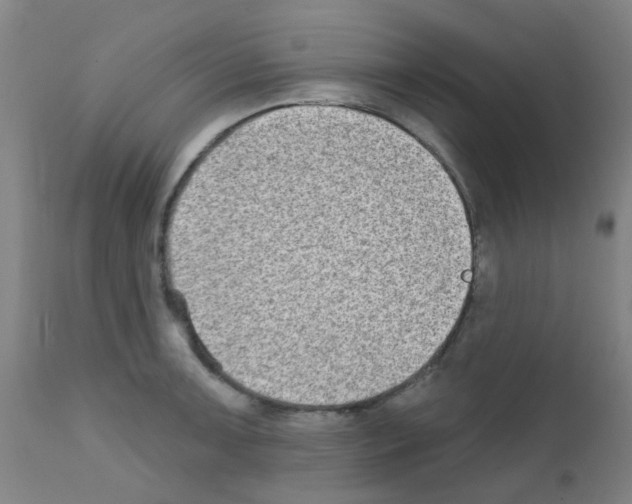 X0000111791091200909031151