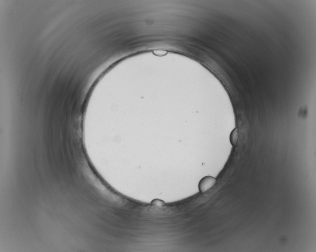 X0000111791092200909031151