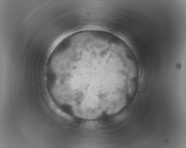 X0000111791094200909031151