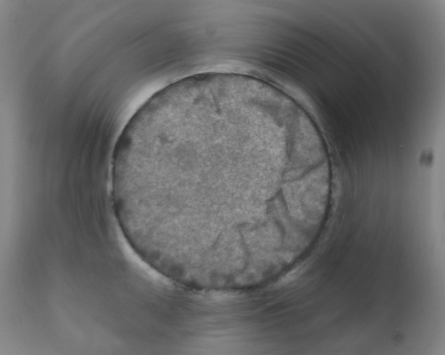 X0000111791095200909031151