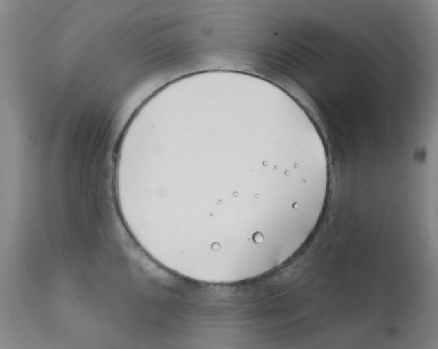 X0000111791096200909031151