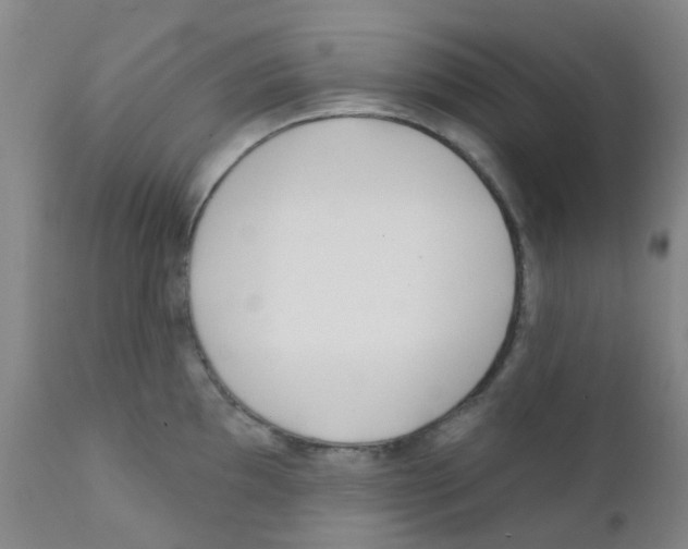 X0000111791097200909031151