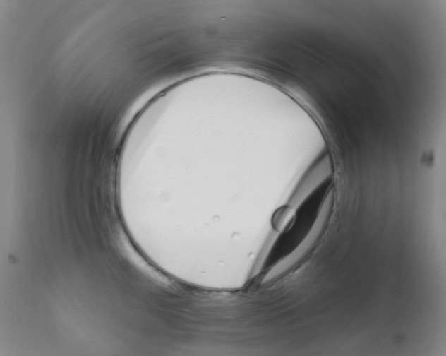 X0000111791100200909031151