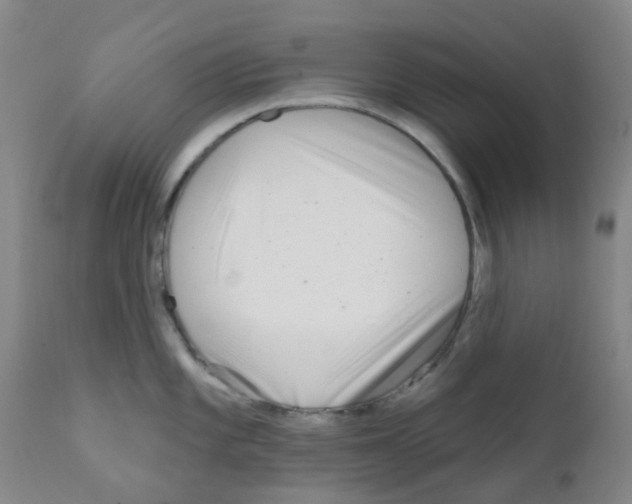 X0000111791101200909031151