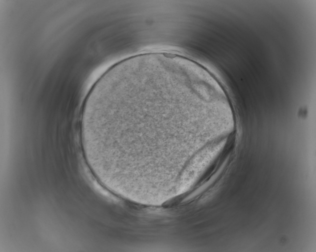 X0000111791102200909031151