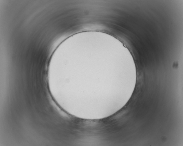 X0000111791103200909031151