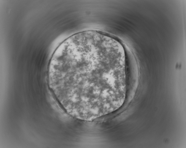 X0000111791104200909031151