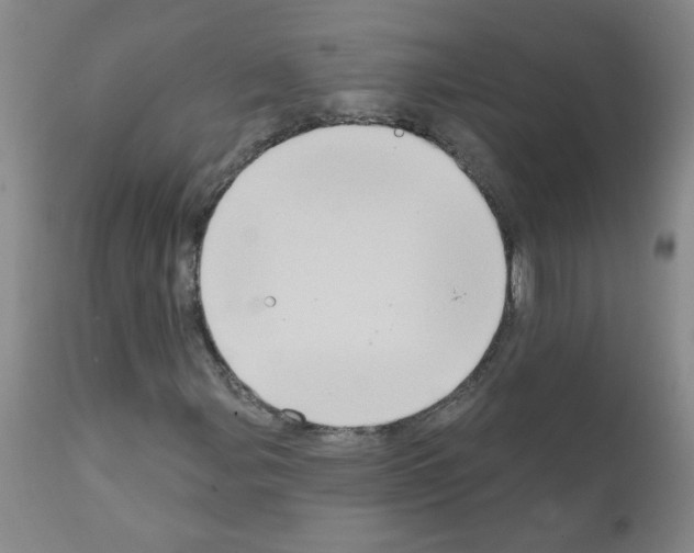 X0000111791107200909031150