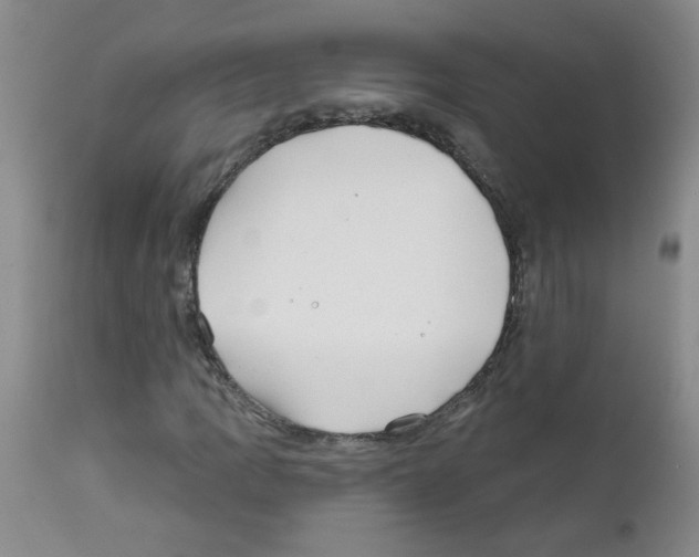 X0000111791109200909031151