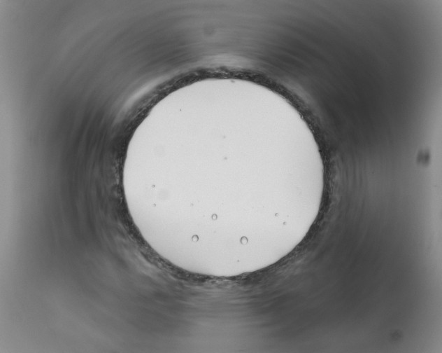 X0000111791112200909031151