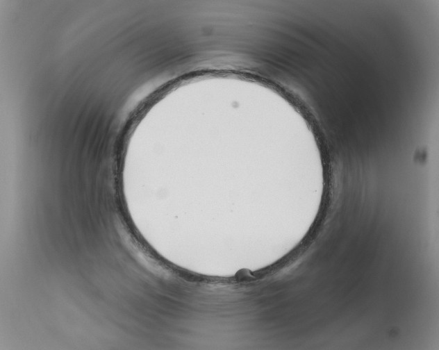 X0000111791114200909031151