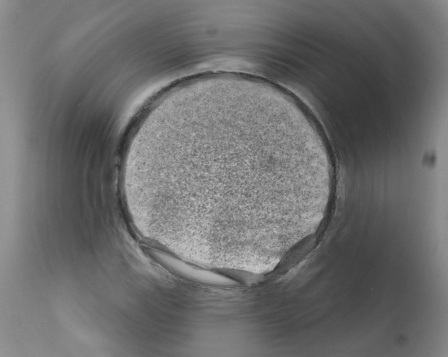 X0000111791115200909031151