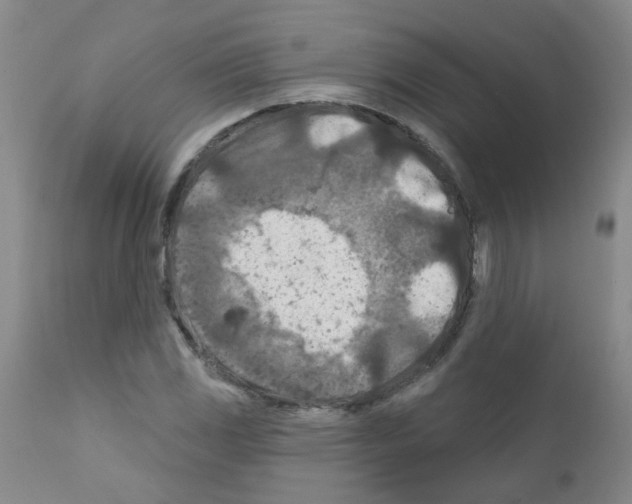 X0000111791117200909031151