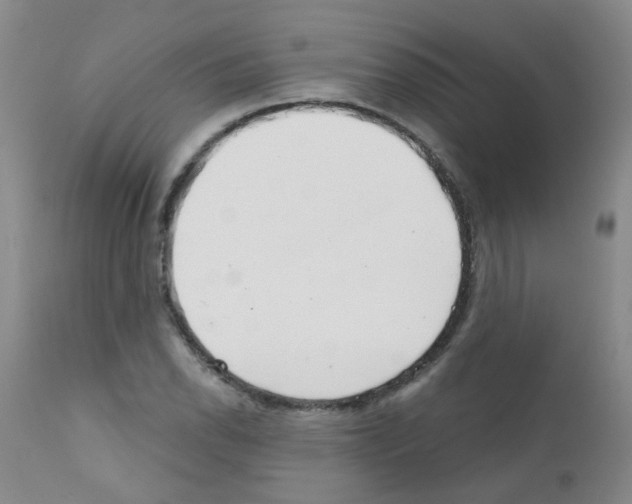 X0000111791118200909031151