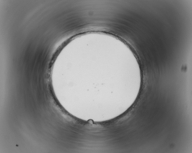 X0000111791119200909031151