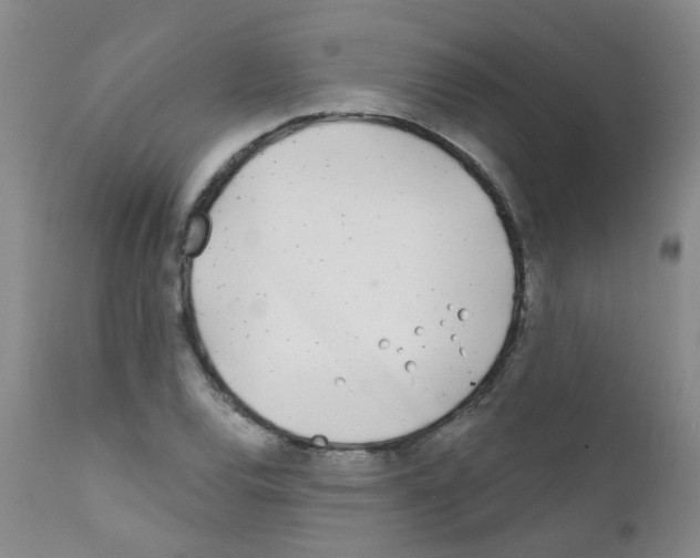 X0000111791120200909031151